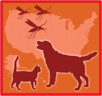 Prevent Heartworms in Pets Year-Round