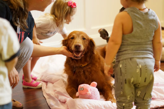 New Pups and Tots Program