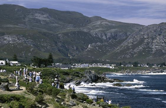 ￼Hermanus during whale week