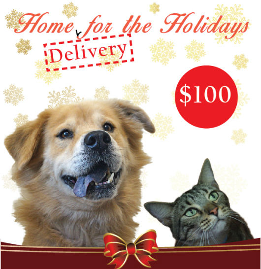 Holiday Delivery