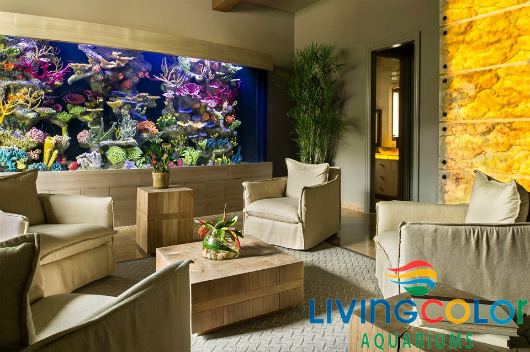 Living Color Aquarium Maintenance and Supply