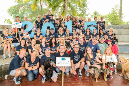 Stilish Paws was the top fundraising pack and set a new all time Pack record of 88191