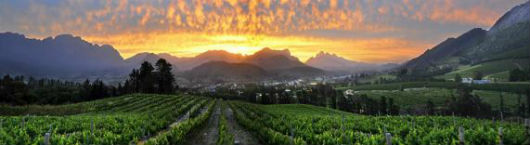 franschhoek Wine Valley