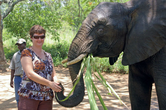 lady-touching-the-african-elephants-trunk