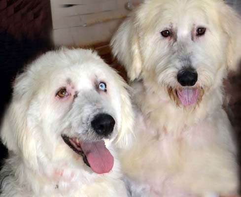 Jack--Lilly---After