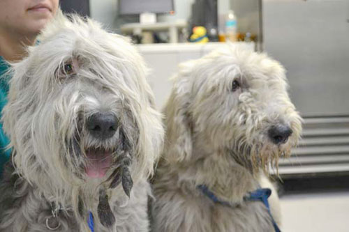Jack--Lilly---Before-their-make-over