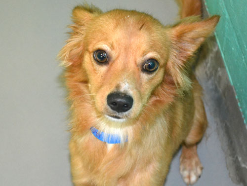Junior-458960