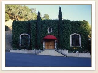 Vine cliffimage008 0616