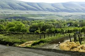 Washington State Wine Country 1