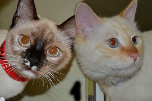 Wendy & Casper