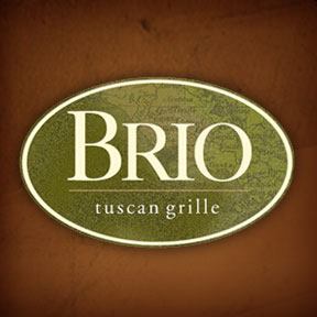 brio copy