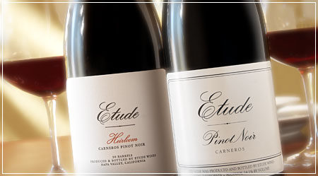 wineshop pinot