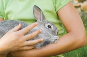 Chocolate Bunnies and Peeps are the Best for  Your Easter Basket