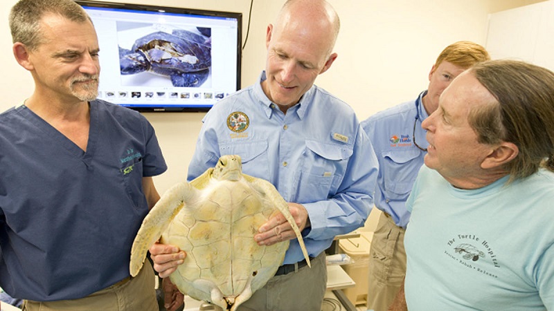 rickscottturtle