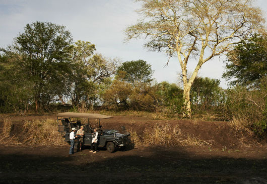 singita-safari