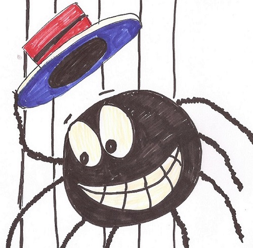 spider