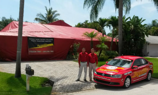 Termite Control with the all newly designed Sentricon Systems to South Florida homeowners.