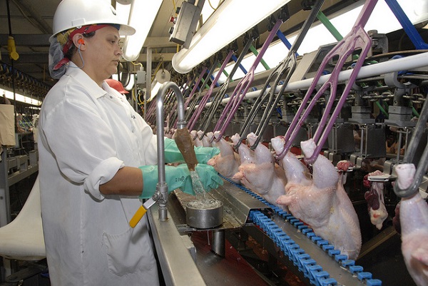 usda poultry inspector